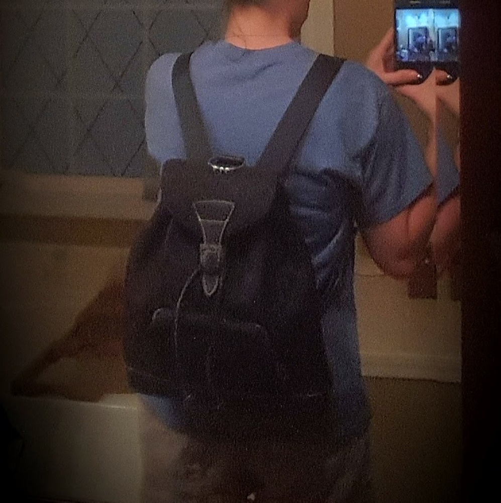 Backpack/purse